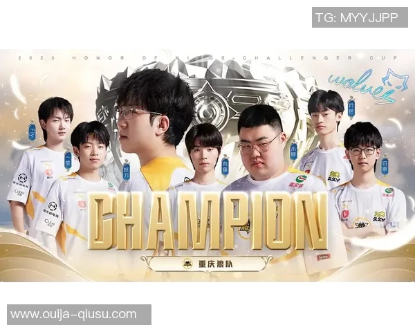 沙夫卡特批驳加里：我是下一个冠军挑战者